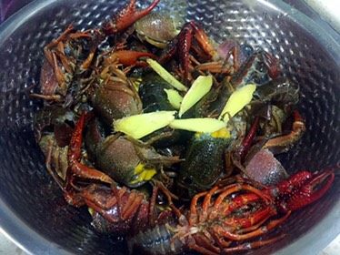 私房香辣小龙虾,龙虾用姜片、<a style='color:red;display:inline-block;' href='/shicai/ 718'>料酒</a>和少许的盐,腌制20分钟左右;