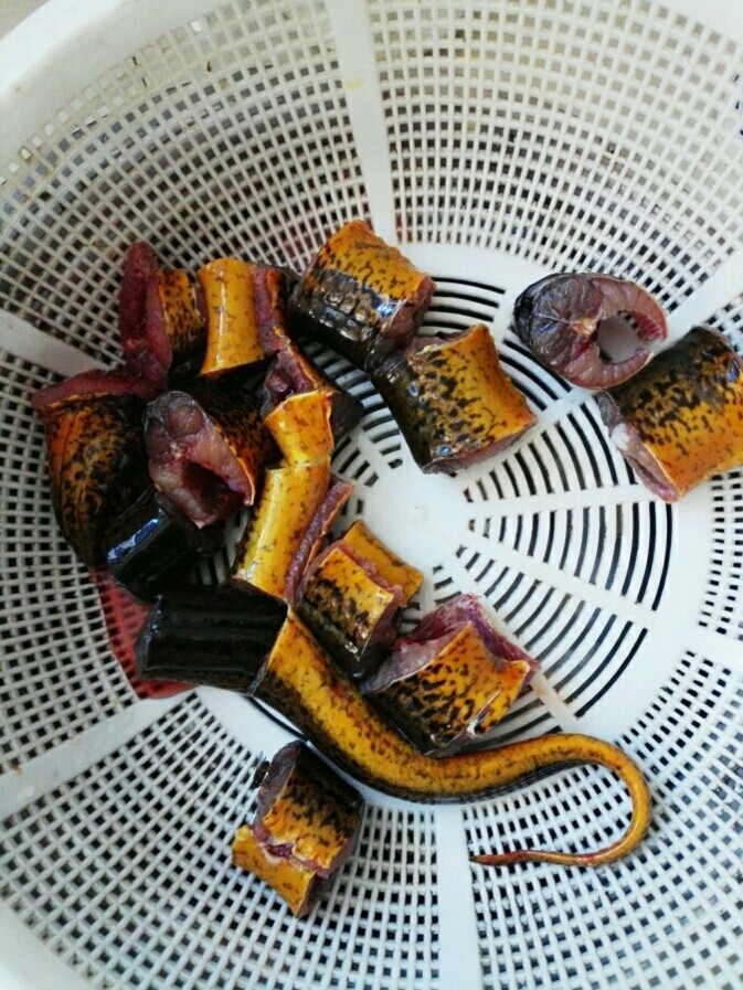 咸肉烧鳝鱼,鳝鱼洗好、杀好切成合适大小的段
