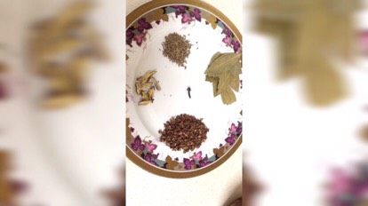 大料辣椒油·大料油·炖菜,小茴香、香叶、花椒、甘草、丁香一颗(一定只能是一颗)