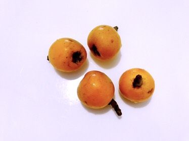 雪梨枇杷羹,咳嗽时的一味良药,准备好的<a style='color:red;display:inline-block;' href='/shicai/ 618'>枇杷</a>。