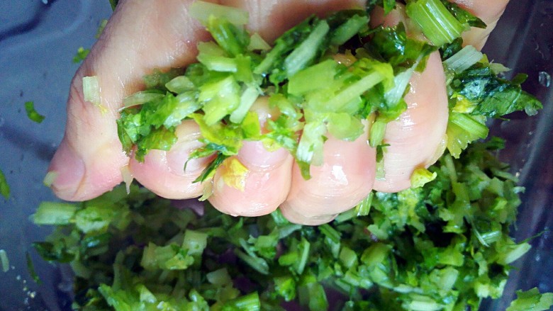芹菜虾仁猪肉水饺+#人民的美食#,把腌制好的芹菜挤去水份,不用挤太干