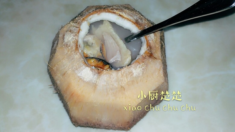 椰青炖鳄鱼肉干,开动喽…