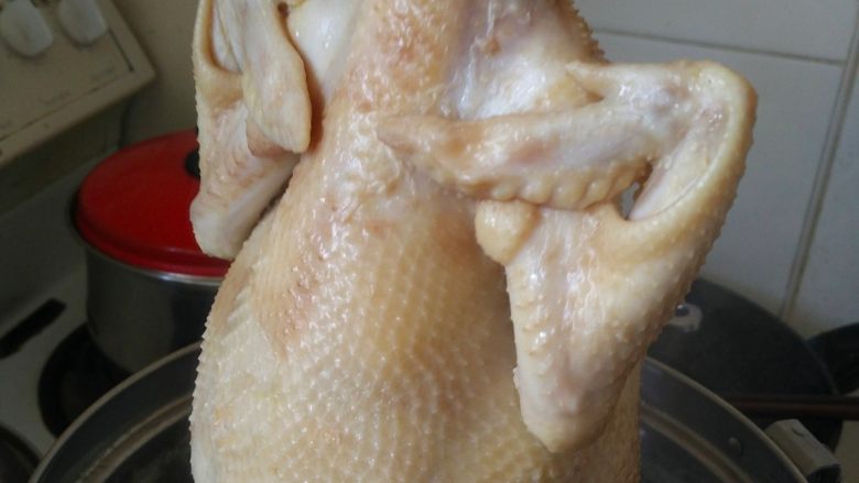 粵菜经典【白切鸡】 泡鸡秘诀保证肉质嫩滑,让鸡腹腔内充满水以后过几秒种,把鸡提起来,让腹腔内的水流出来,再轻轻抖一下。再重复这个泡鸡、提鸡的动作2遍。第二遍和第三遍均为10秒(大火)