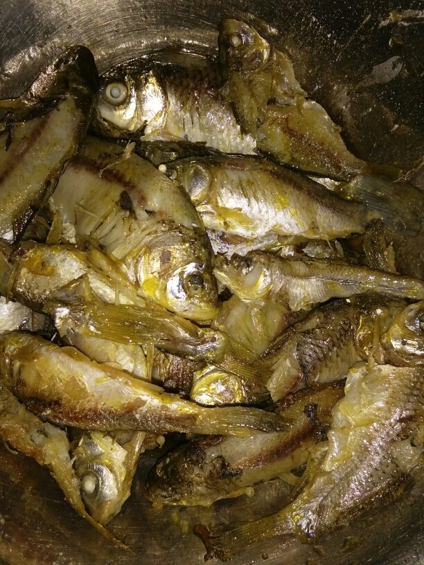 美味香脆鱼,把腌好的鱼放在热油锅小火慢炸,要少少的炸多了会粘在一起,炸到快熟就把它起锅放在盘子里面凉一会。