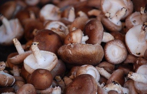 香菇肉沫拌面,鲜香菇洗干净去根,切成小丁