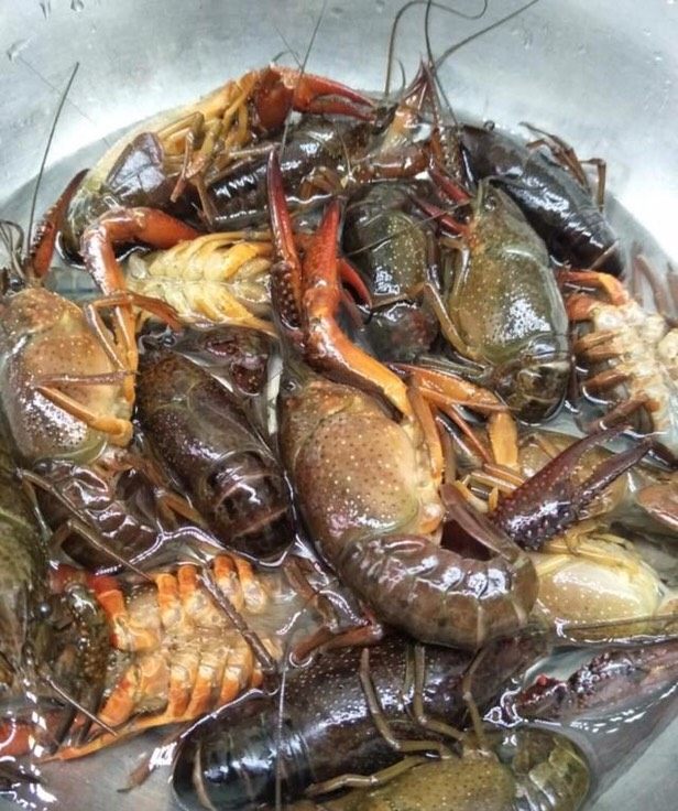 麻辣小龙虾,小龙虾