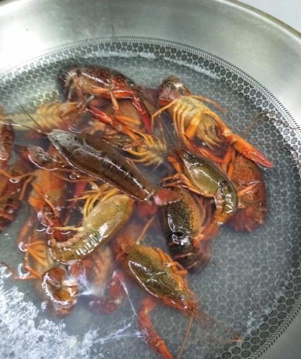 麻辣小龙虾,锅中下入小龙虾焯水煮两分钟,捞出控干水分