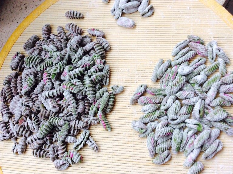 番茄酱素麻食,都搓好了备用。