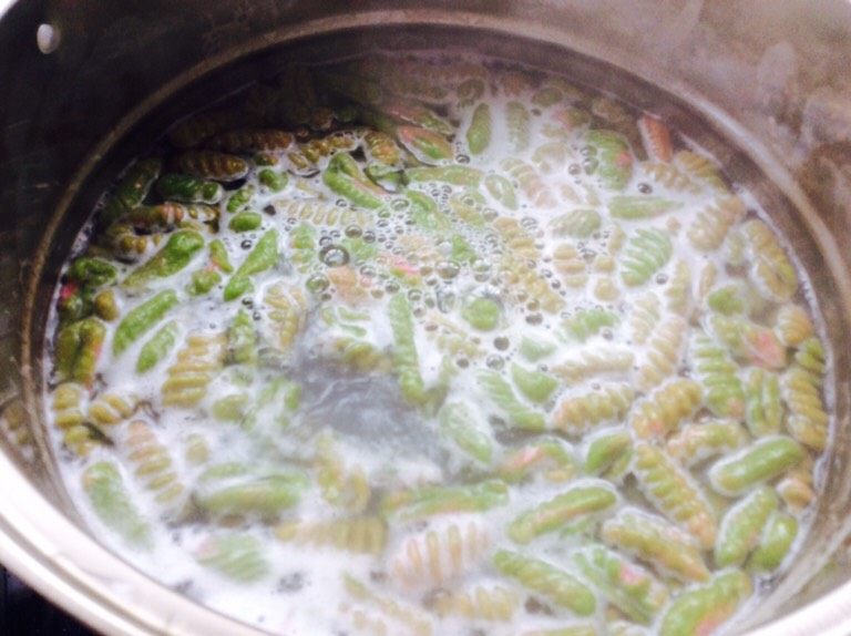 番茄酱素麻食,煮熟后捞出