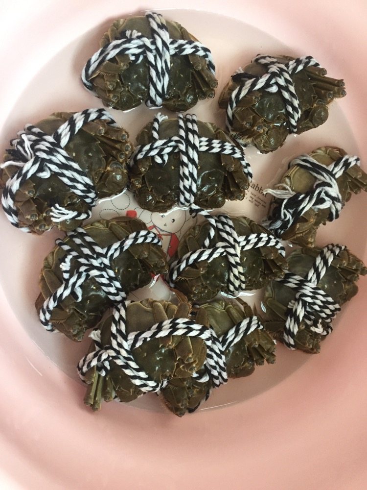螃蟹螃蟹+#人民的美食#,新鲜的大闸蟹一时吃不完可以放盆里养着,水不要没过<a style='color:red;display:inline-block;' href='/shicai/ 307'>螃蟹</a>,防止淹死,还有要记住死水缺氧蟹必死!还有一种方法就是把捆绑好的大闸蟹放在冰箱的保鲜室内,温度控制在3-6摄氏度左右,用拧干的温毛巾盖住,一般2-5天蟹不会死。