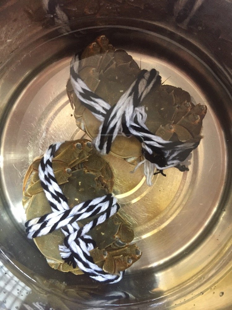 螃蟹螃蟹+#人民的美食#,挑两只不太活跃的螃蟹(活跃的可以先保存起来),放到清水里,大概30-60分钟,让它们吐尽泥沙。(也可以加白酒,既去腥也好处理螃蟹)