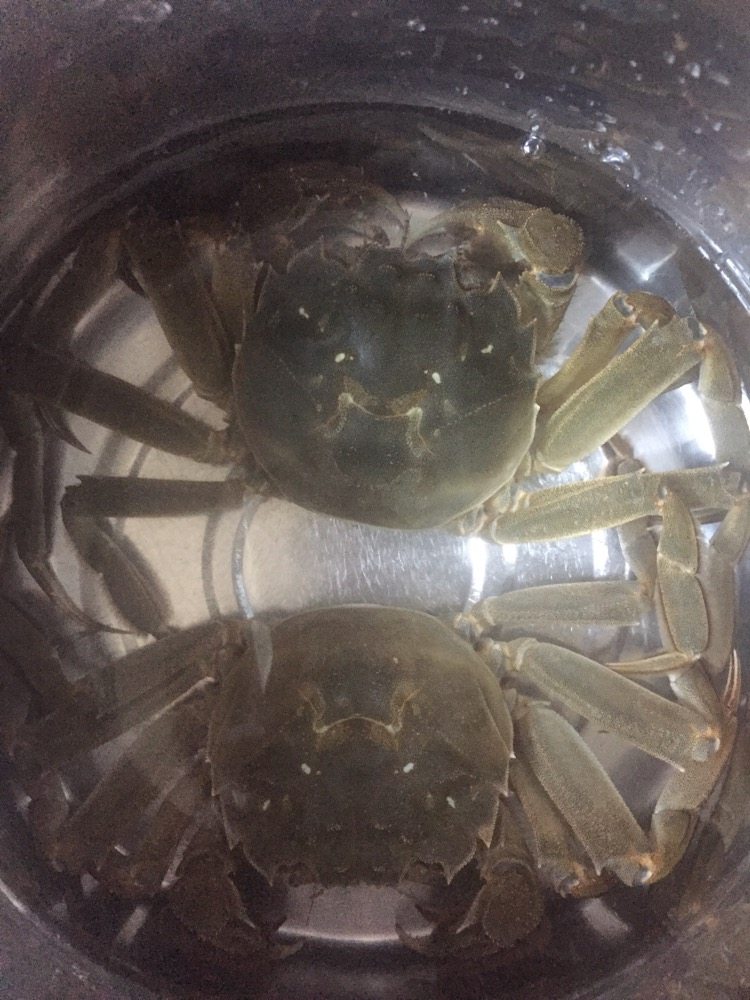 螃蟹螃蟹+#人民的美食#,刷洗干净之后可以放清水里再吐一会沙,两个小家伙活跃的,我都舍不得吃啦!