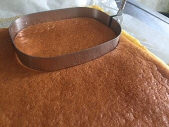 家庭版豆乳盒子,蛋糕坯也晾凉了,拿280毫升的千层蛋糕切割器切出形状,没有的可以找要装的容器按压。