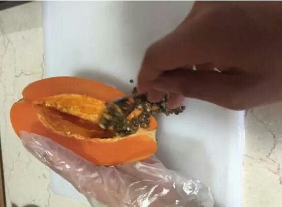 木瓜牛奶燕窝,将<a style='color:red;display:inline-block;' href='/shicai/ 590'>木瓜</a>洗净切半，处理干净里面杂质，采用果球刀挖出果肉，雕花刀雕出花形。