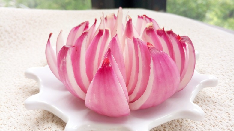 洋葱莲花,粉莲花
