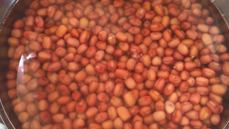 抹茶铜锣烧,加入没过红豆的水量,开大火熬煮,沸腾后转小火,一直到红豆软烂为止