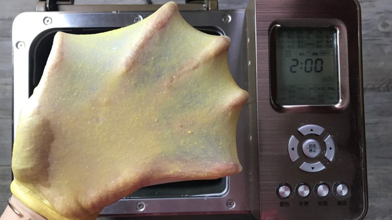胡萝卜椰蓉卷,和面结束,可以拉出完美的手套膜。