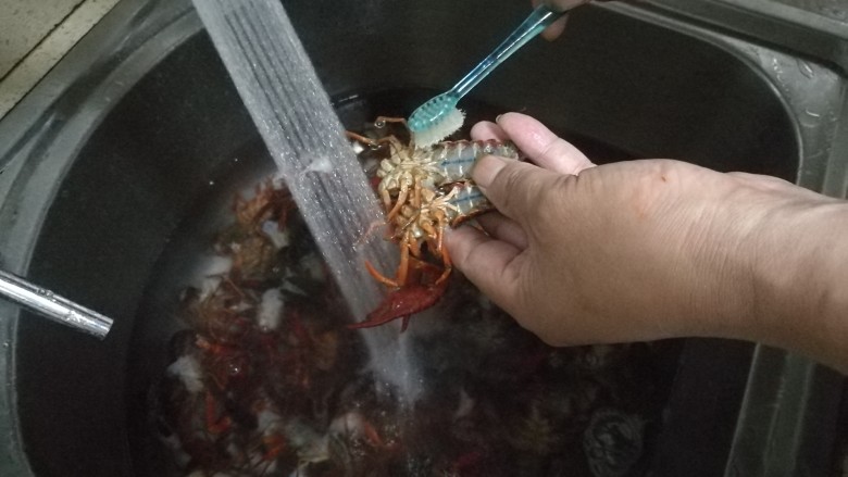 蒜蓉小龙虾,用牙刷刷洗小龙虾,去除头部后方便清洗,也不会咬手。