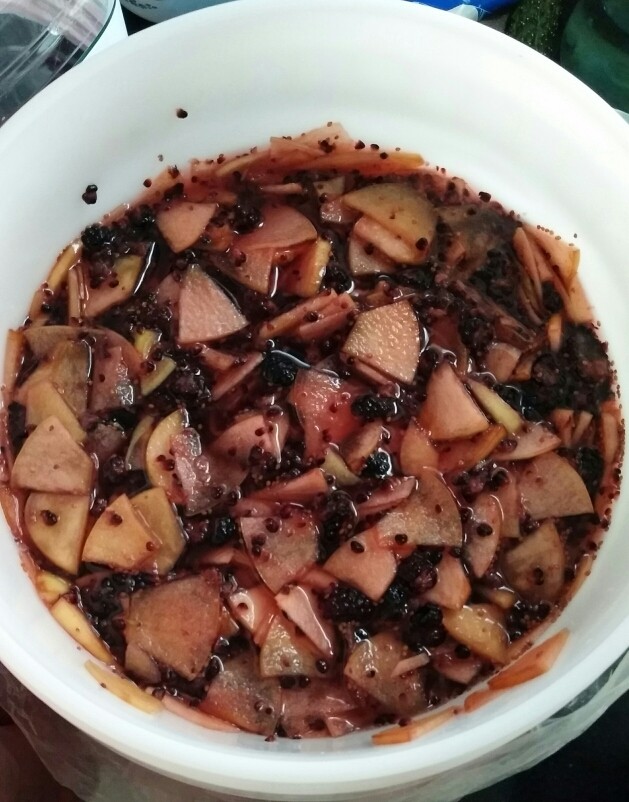 桑葚苹果酵素,这是发酵第二天的效果。用酵妈妈快速发酵桶三天就可以出桶了,出桶时把酵渣过滤出来,盛出来的酵素装瓶放入冰箱内保鲜。❗❗在这里我申明一下,所有的配方都只适用于酵妈妈酵素桶,如果有喜欢的朋友用了其他的容器制作,后续出现任何问题都与我无关。