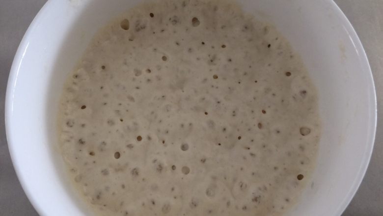 肉松面包(波兰种),波兰种所有材料混合,盖上保鲜膜室温发酵至全是泡泡