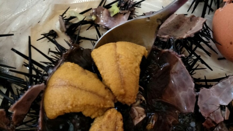 海胆蒸鸡蛋糕,用小一点的勺子,把海胆肉贴边挖出,动作要轻,不然就碎了