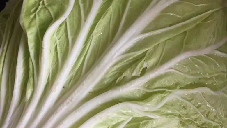 虾仁猪肉白菜卷【鲜上加鲜的宴客菜】,准备白菜叶,找叶片比较完整的