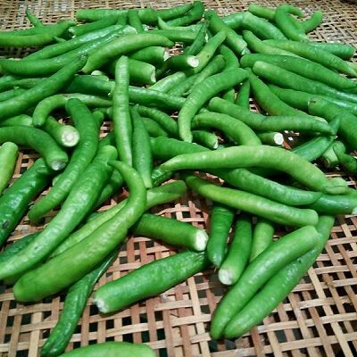 #辣味#在家也可以腌制辣椒,洗辣椒的时候,那个辣椒的蒂不要去掉,等到洗好晾干水分的时候再去辣椒蒂,