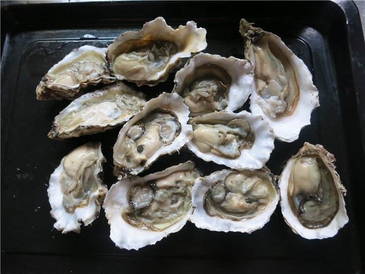蒜蓉生蚝烤烤更美味,全部撬开放在一个盘里一旁备用,最好不要让蚝汁流出来