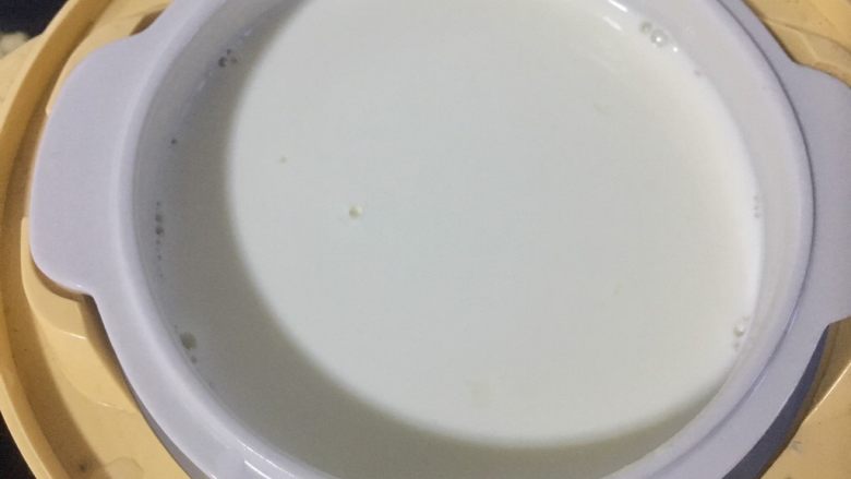自制酸奶(奶粉版),搅拌均匀后放入酸奶机。