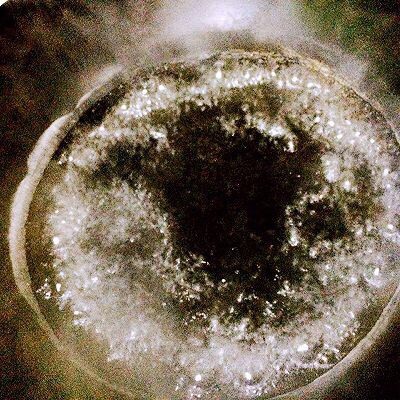 凉拌三丝,特别的味给特别的你,锅中水烧开。