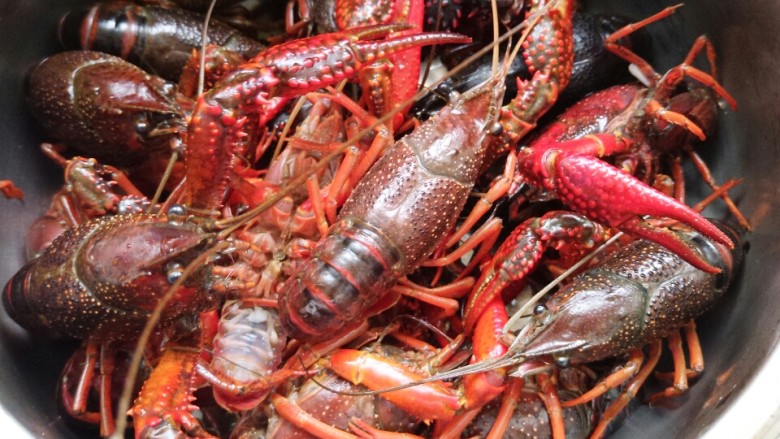 别为风情的龙虾,<a style='color:red;display:inline-block;' href='/shicai/ 292'>龙虾</a>一定要去虾线。还有刷肚皮 我第一次做这种活的东西 真的很害怕。为了吃也是拼了,
