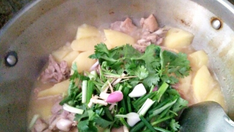土豆焖鸭,开盖,放入香菜和葱段