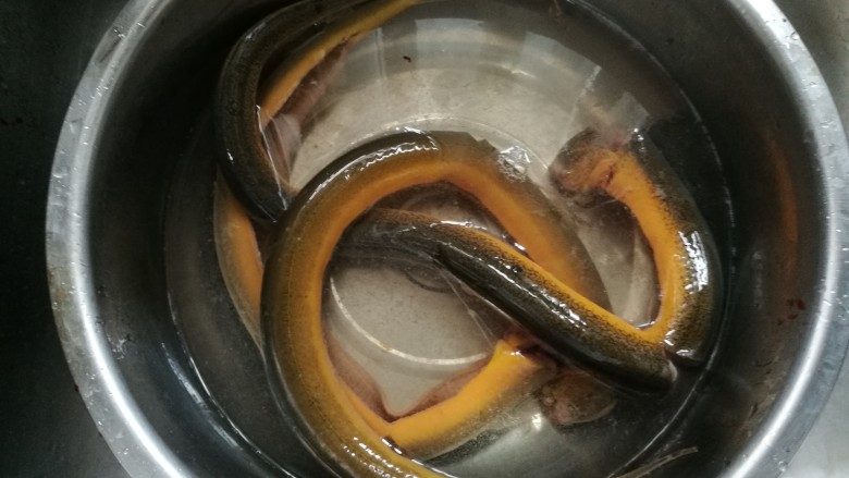 黄鳝烧肉,一定要用开水烫(10秒)去鳝鱼身上的滑腻物(除腥味)前,这样烧出来的鳝鱼才更美味。