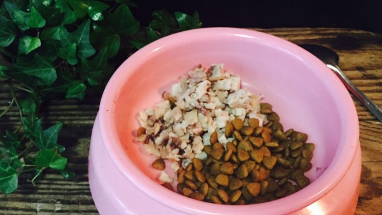 汪星人的鸡腿饭(小美版),拌上狗粮,美味晚餐好了。