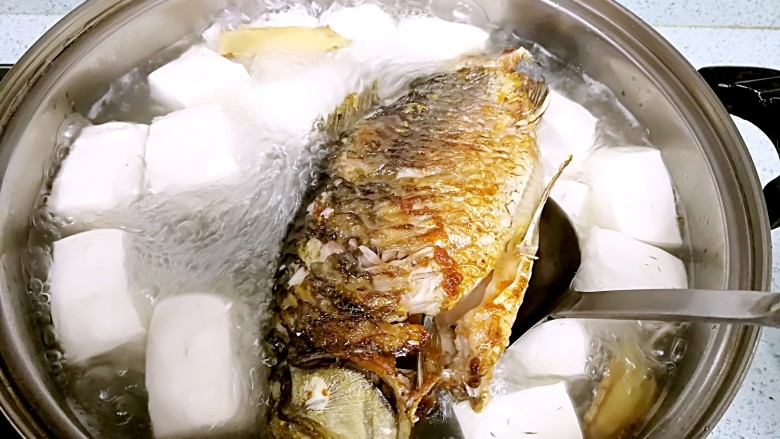 豆腐鲫鱼汤,直接把鲫鱼捞入豆腐汤里,开大火烧开后,转小火煮20分钟。