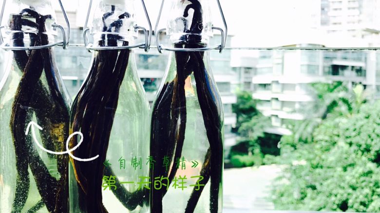 省钱自制《香草精》,期待一周后!