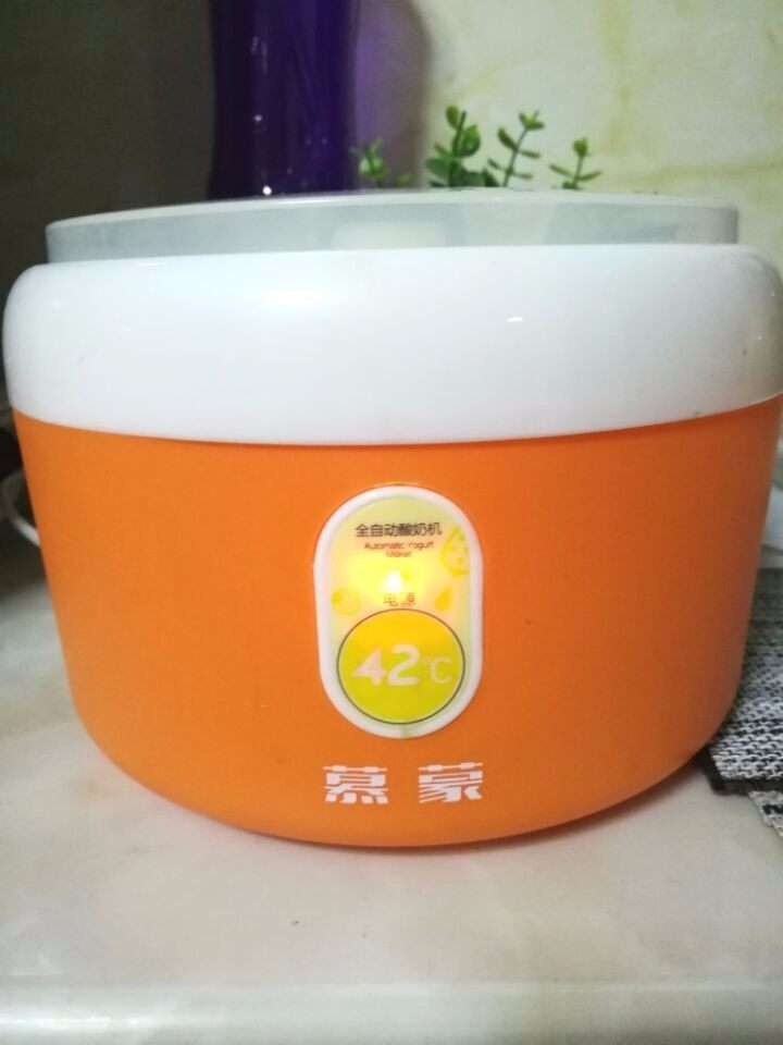谷物水果酸奶杯,将容器放入酸奶机中,插电八小时,酸奶就做好了,冷却后把酸奶放入冰箱冷藏,我的容器是有盖子的,没有盖子的放入冰箱前要封上保鲜膜。