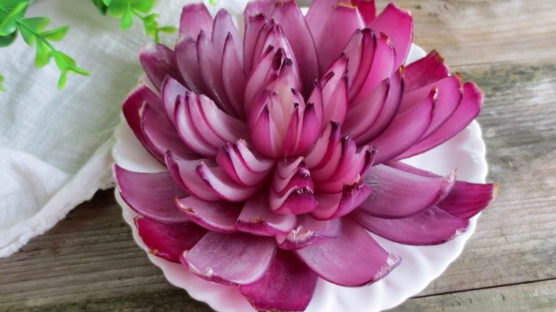 洋葱的绽放之旅