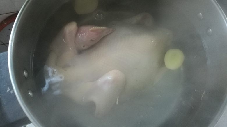 阿胶桂圆鸡,锅坐火上,加入能够没过鸡的适量清水,煮开,加入生姜5片,放入整鸡焯水汆烫,去掉杂质,除去腥味。