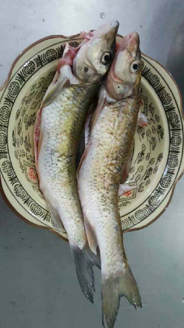 茄汁沙勾鱼,去腥,备用