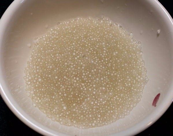 杨枝甘露,水1000CC烧开，放入生<a style='color:red;display:inline-block;' href='/shicai/ 506'>西谷米</a>，转中小火。偶而拌一下以免糊底，煮10分钟闷5分钟，至<a style='color:red;display:inline-block;' href='/shicai/ 506'>西谷米</a>几乎变透明。