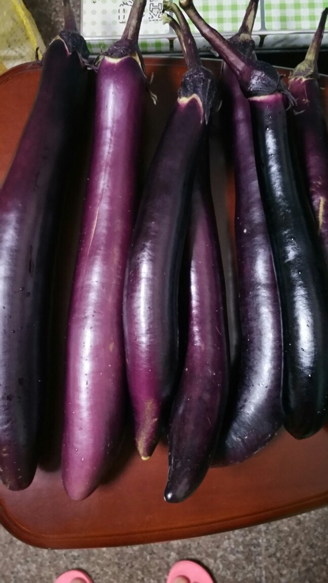 香肠蒸🍆,选一根就行