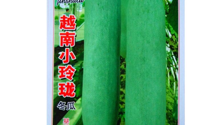 冬瓜炖排骨,请大家不要不相信,越南冬瓜就真的那么小~女汉子不会连冬瓜、黄瓜、瓢瓜、丝瓜、节瓜都分不清喔~😁😁😁