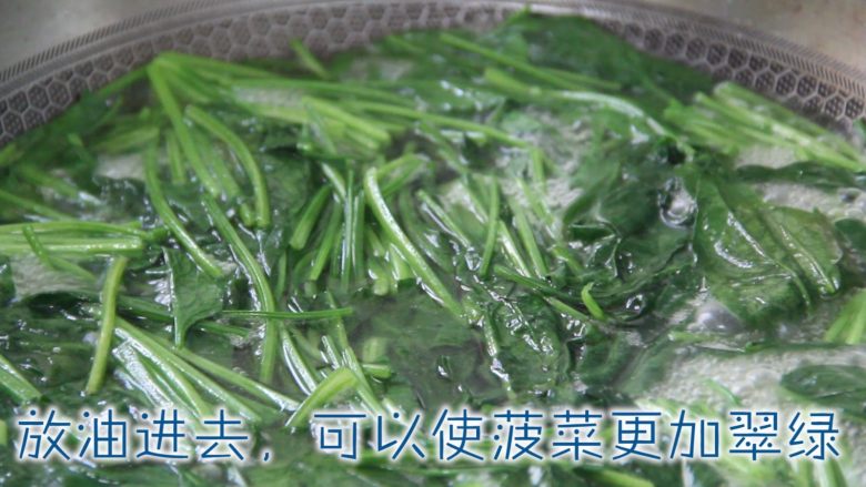 凉拌菠菜花生米,锅中加入水烧开、放少许油、放入菠菜烫至碧绿。捞出放入冷水中过凉。