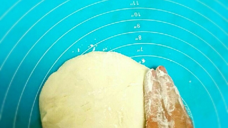粉条菜包,手抓干粉,揉至排气