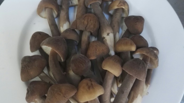 鲜芦笋炒松茸菌,鸡纵菌也可替代
