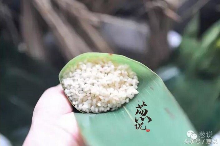 葱说 | 黏糯鲜甜的叉烧肉粽,馅料离箬叶口部约5mm，便于包裹。