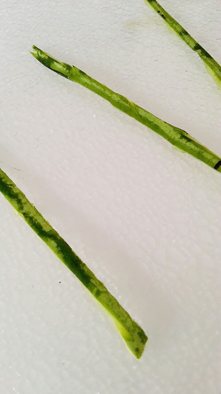 西瓜皮创意拼盘------花儿朵朵,用剪刀再剪些细条,做枝干用.
