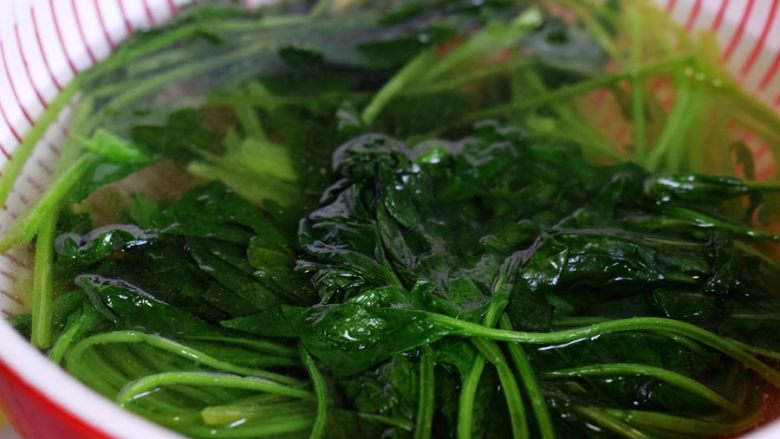 菠菜拌扇贝,焯烫后过凉水,挤干水份切成大段