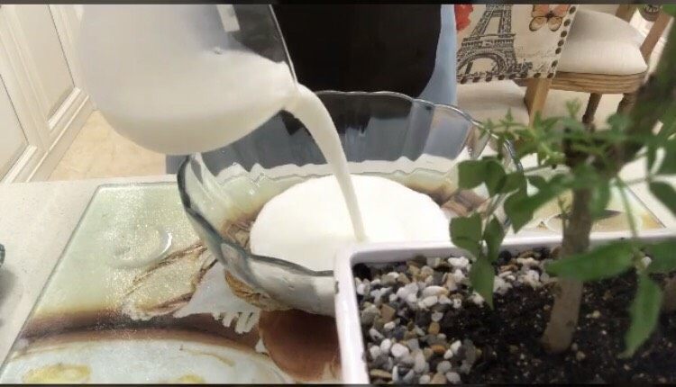 冰淇淋粉做冰淇淋,准备一个大调理碗,倒入纯牛奶;